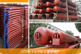 中正鍋爐為確保鍋爐項(xiàng)目順利展，向巴基斯坦提供了專業(yè)的技術(shù)指導(dǎo)