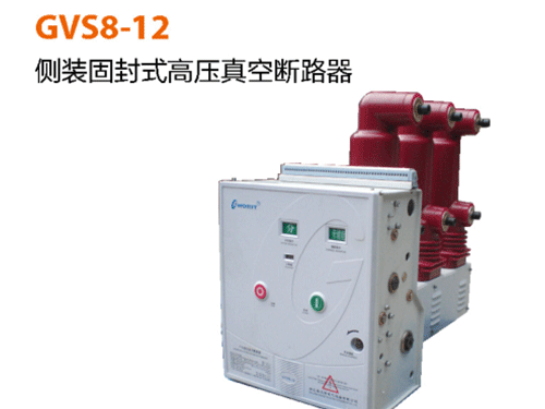 GVS8-12側裝固封式高壓真空斷路器